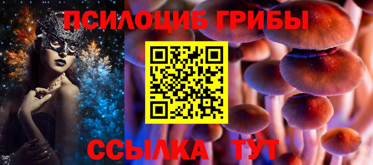 Новоалтайск  Псилоцибиновые грибы ЛСД  Псилоцибиновые грибы Magic Shrooms  Вход с VPN 